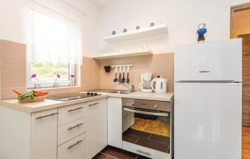 مطبخ, Apartments for families with children Jasenak, Gorski kotar - 17501 in جاسيناك