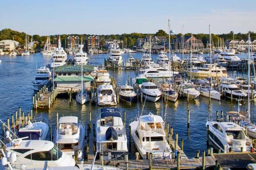 Annapolis Waterfront Hotel Autograph Collection - image 13