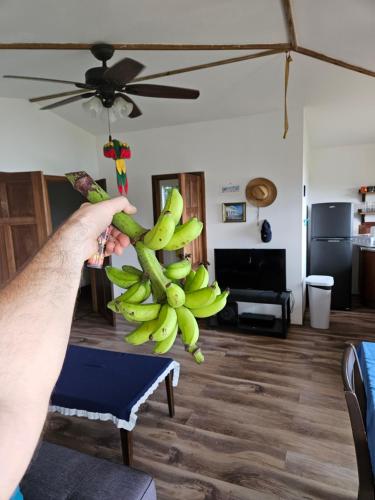 Roatan - house for 4 by the sea, Jonesville (photo 6)
