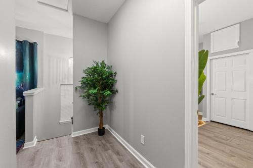 Central West End WashU BJC St Louis Children's Hospital Forest Park 3br Euphoria