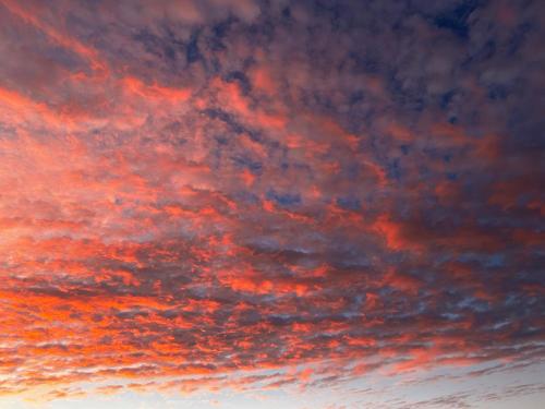 Green Cauldron, Homestay, Tamborine Mountain, Private Room, Ensuite, Private Courtyard, Gold Coast Views