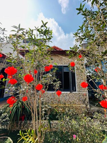 Viena Homestay in Bac Ha (Lao Cai)