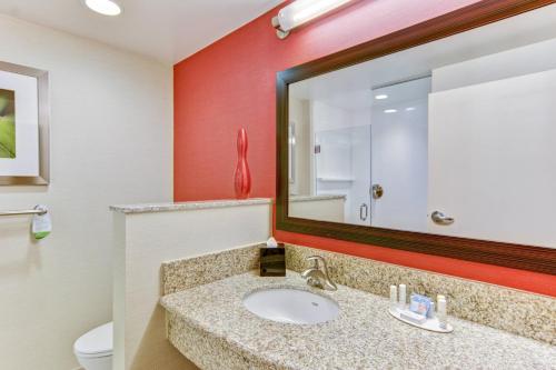 Courtyard by Marriott Bridgeport Clarksburg - image 10