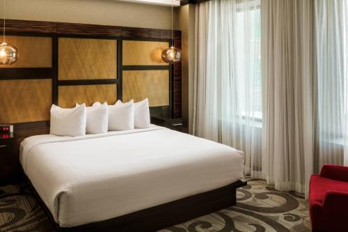 Queen Suite image 5