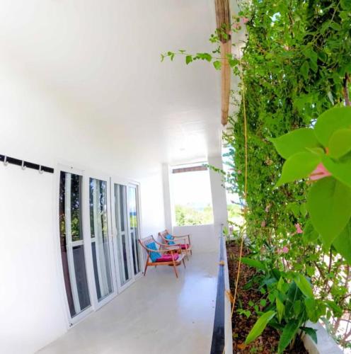 View, Divers Lodge Plumeria in Cebu