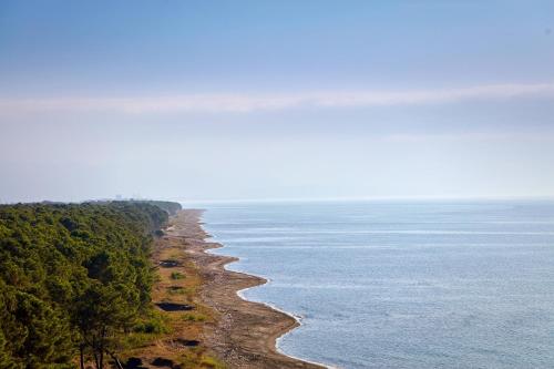 643121771 Paragraph Resort & Spa Shekvetili, Autograph Collection