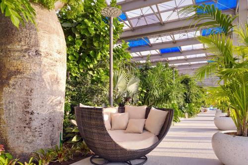 Paragraph Resort & Spa Shekvetili, Autograph Collection