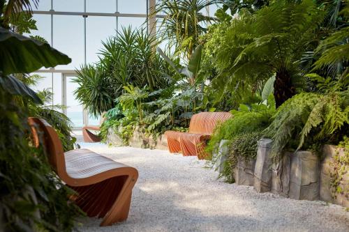 Paragraph Resort & Spa Shekvetili, Autograph Collection