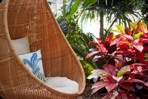 Paragraph Resort & Spa Shekvetili, Autograph Collection