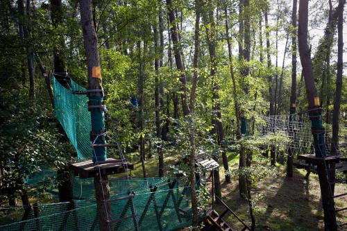 Paragraph Resort & Spa Shekvetili, Autograph Collection