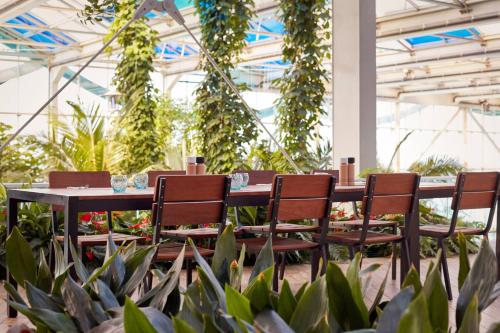 Paragraph Resort & Spa Shekvetili, Autograph Collection