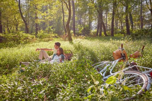 Paragraph Resort & Spa Shekvetili, Autograph Collection