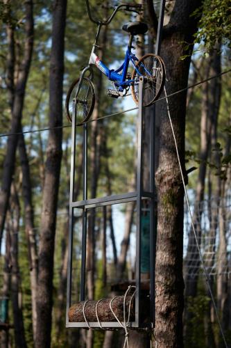 Paragraph Resort & Spa Shekvetili, Autograph Collection