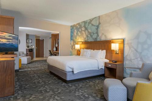 Courtyard by Marriott Asheville Airport, Arden (fotografie 10)