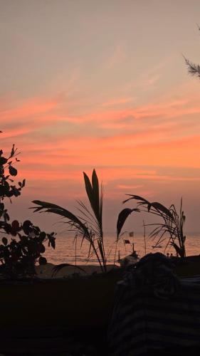 Prafulla Homestay in Majali