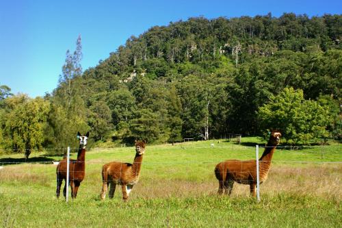 The Heavens Mountain Escape