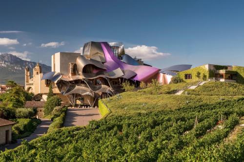 Marques De Riscal Hôtel