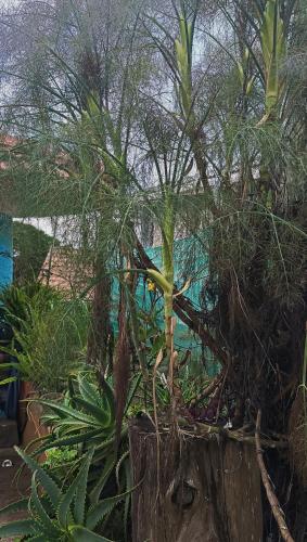 Smiley Homestay Family-Friendly 3BR - image 3