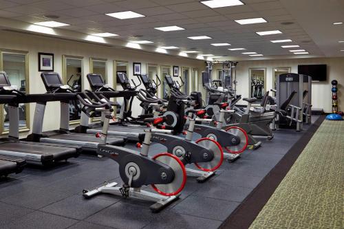 Renaissance Providence Downtown Hotel - image 11