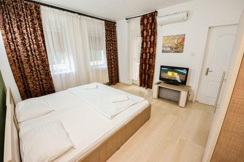 Bucharest City Center Villa - image 3