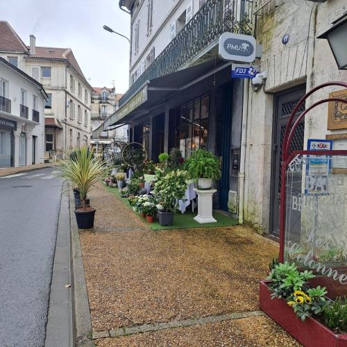 Charm and Elegance T2 in the heart of Ribérac Charm and Elegance T2 in the heart of Ribérac