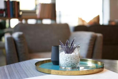 Cambria Hotel Downtown Dallas - image 11