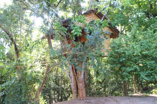 Tree House-Midigama