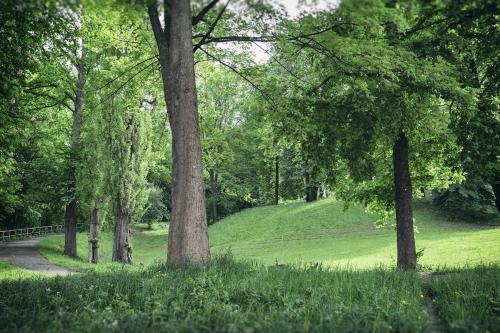 Ferienwohnung am Bienertpark, Dresden