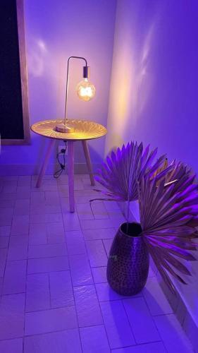 Aphrodite #Love Room#, Pointe-à-Pitre (foto 7)