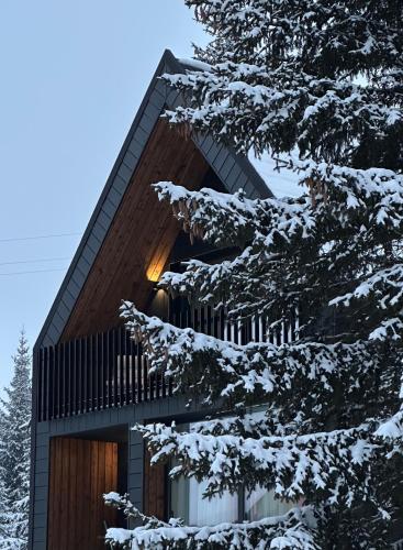Black Chalet, Žabljak (zdjęcie 4)