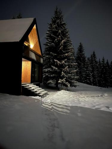 Black Chalet, Žabljak (zdjęcie 6)