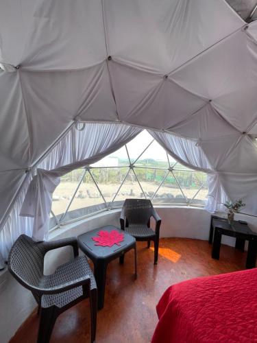 Glamping Burbuja in Nautla