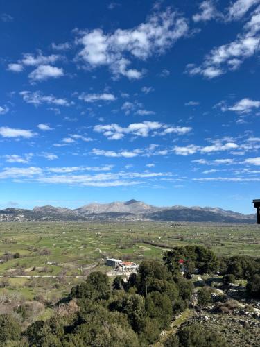 Dictamus Homes - image 2