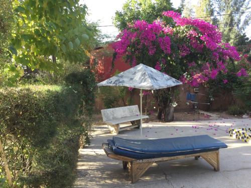 Campement Courbine in Ndangane