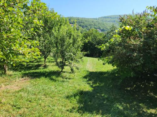 Grand AC Residence with Garden & Parking Grand AC Residence with Garden & Parking