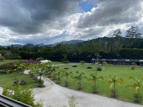 Kert, MG Hotels & Suites in Rio Negro