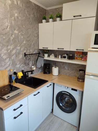 Oprema, Narva Vahtra Apartment in Soldina