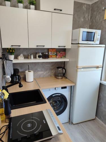 Oprema, Narva Vahtra Apartment in Soldina