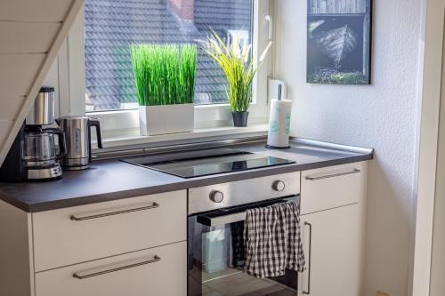 Pension Nickel Ferienwohnung DG Am Holzlachgraben in Alsbach