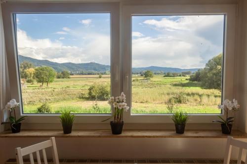 Pension Nickel Ferienwohnung DG Am Holzlachgraben in Alsbach