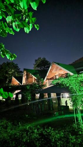 Pension Terra Nova - image 2