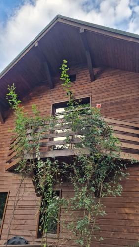 Pension Terra Nova - image 6