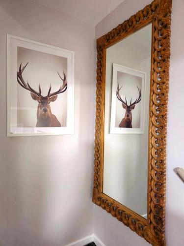 Warm & Cosy Home in Glasgow, Glasgow (photo 10)