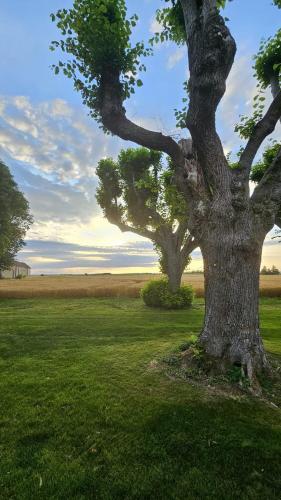 Apkārtne, Une nuit dans le Vexin in Magny-en-Vexin