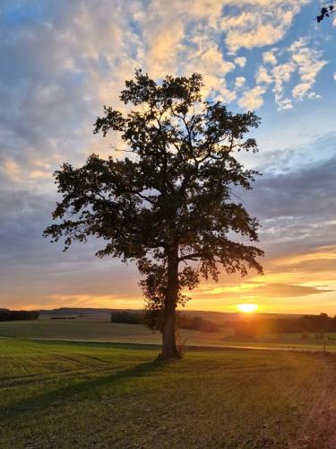 Apkārtne, Une nuit dans le Vexin in Magny-en-Vexin