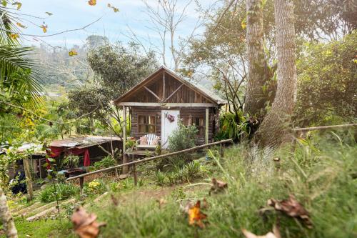 Dārzs, Cabañas Don Santiago (Cabanas Don Santiago) in Santa Cruz Verapaz