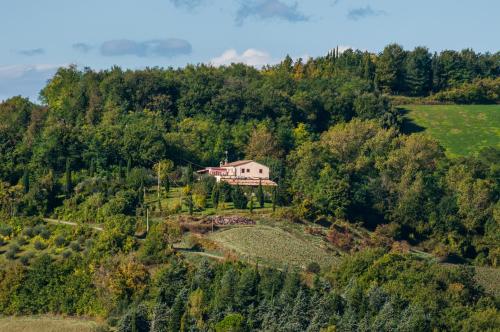  Tenuta Sant'Apollinare in Mondaino