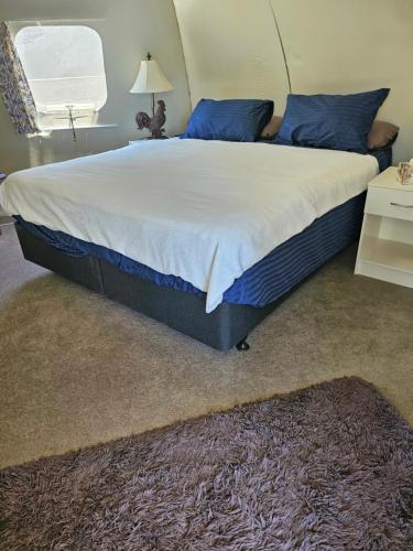 Rainbow Rose Pods in Miranda