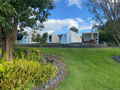 Rainbow Rose Pods in Miranda