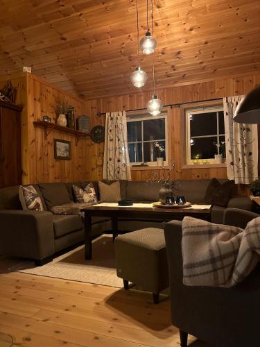 Cabin at Furutangen - 3 bedroom family cabin, Åmot
